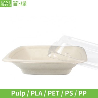 Easy Green 16oz Food Container Sugarcane Biodegradable Square Disposable Paper Salad Tray/Bowl